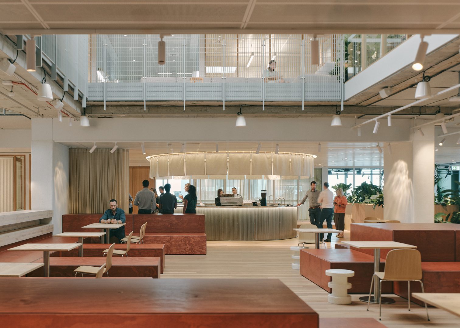 Circular Sea Collection at the ARUP Brisbane workplace café