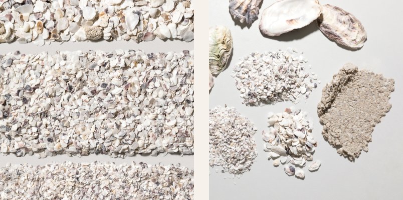 Circular Sea Collection recycled oyster shell wall finish samples and raw shell aggregate, Mineral Fox